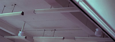 Photo of our Ceiling Speakers in situ